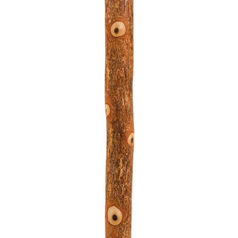 Brazos Walking Sticks Sassafras Walking Stick AM-602-3000-1210