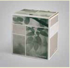 Becton Dickinson Drainage Catheter Kit PleurX®