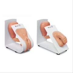 Catheterization Training Model Male and Female Set ,1 Each - Axiom Medical Supplies