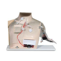 Chester-Chest-Skills-Trainer-Advanced Chester Chest Skills Trainer ,1 Each - Axiom Medical Supplies