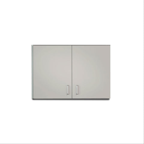 Two Door Wall Cabinet 48"L x 12"D x 24"H ,1 Each - Axiom Medical Supplies