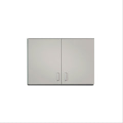 Two Door Wall Cabinet 36"L x 12"D x 24"H ,1 Each - Axiom Medical Supplies