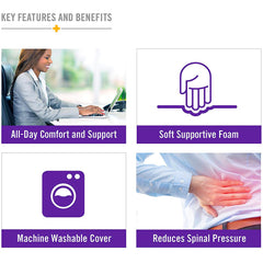 DMI Contoured Foam Ring Cushions AM-513-8016-1900