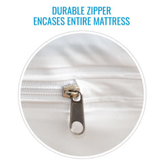 DMI Protective Mattress Cover for Beds AM-554-8059-9812