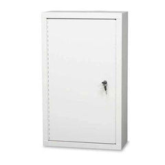 Double Door Double Lock Narcotics Cabinet With 1 Adjustable Shelf • 12"W x 8"D x 15"H ,1 Each - Axiom Medical Supplies