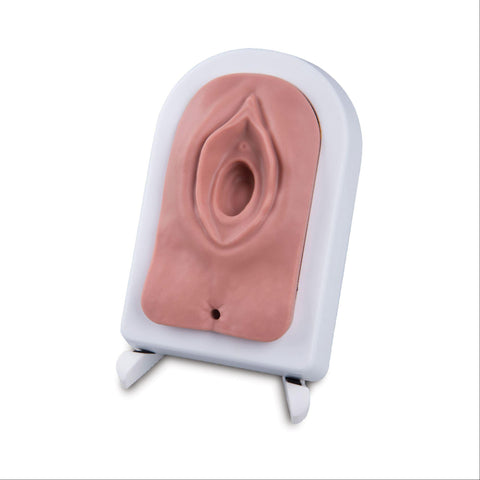 Episiotomy and Suturing Simulator Episiotomy and Suturing Simulator ,1 Each - Axiom Medical Supplies