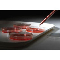 Extreme Temperature Trays 24.25"W x 24.25"D x 2.25"H ,1 Each - Axiom Medical Supplies