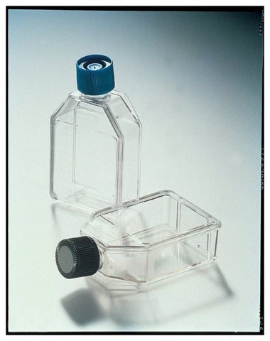 PANTek Technologies LLC Treated Flask Rectangular / Tissue Culture Pol ...