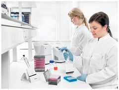 Molecular BioProducts Pipette Tip MBP® 0.4 to 10 µL NonSterile - M-1167211-428 - Case of 10