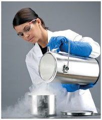 Thermo Fisher/Barnstead Liquid Nitrogen Container Thermo-Flask™ Benchtop Stainless Steel / Borosilicate Glass 1,000 mL (32 oz.) - M-1026120-3352 - Each