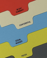 First Healthcare Products Chart Divider MDS