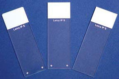 Fisher Scientific Microscope Slide Superfrost™ Plus Frosted End