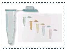 Fisher Scientific Fisherbrand™ Microcentrifuge Tube Conical Bottom Plain 10.8 X 40.6 mm 1.5 mL Without Color Coding Snap Cap Polypropylene Tube