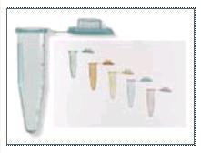 Fisher Scientific Fisherbrand™ Microcentrifuge Tube Conical Bottom Plain 11 X 40.6 mm 2 mL Without Color Coding Snap Cap Polypropylene Tube