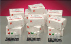 Stanbio Laboratory Rapid Test Kit RPR Quicktest RPR Card Test Syphilis Screen Serum / Plasma Sample 100 Tests