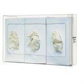 Bowman PETG Slim Glove Box Dispenser Triple • 15.95"W x 2.95"D x 10.1"H ,1 Each - Axiom Medical Supplies