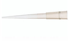 Fisher Scientific Tip, Pipette 52 L X 7 W mm, 200 µL, Yellow, Virgin polypropylene, Rack Packing Fisher/Wheaton Multichannel Micropipetters - M-508019-2739 - Case of 1