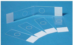 Fisher Scientific Cytology Microscope Slide Fisherbrand™ 13 mm White End - M-1030366-3138 - Pack of 144
