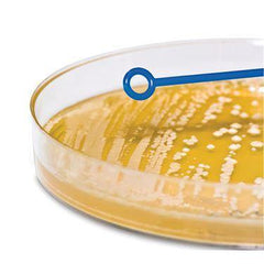 Inoculating Loop 1?L • Rigid ,1000 / pk - Axiom Medical Supplies