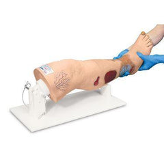 Insufficiency Leg Model Annie Arterial ,1 Each - Axiom Medical Supplies