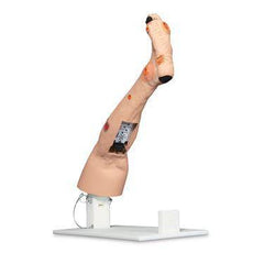 Insufficiency Leg Model Annie Arterial ,1 Each - Axiom Medical Supplies