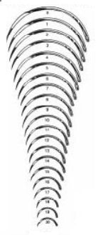 Suture Needle Integra® Miltex® 1/2 Circle Taper Point Needle Regular Surgeon's Type Size 10 Needle