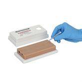 2-Vein Model Venipuncture Training Aid 2-Vein Model ,1 Each - Axiom Medical Supplies