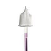 Cervical Brushes Wallach Papette Cervical Brush/Broom ,100 per Paxk - Axiom Medical Supplies