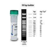 DNA Protein Ladders 500ul/100 lanes ,1 Each - Axiom Medical Supplies