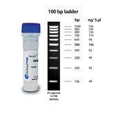 DNA Protein Ladders 5x500ul/500lanes ,1 Each - Axiom Medical Supplies