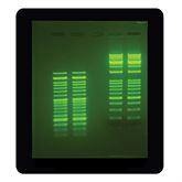 DNA Stains Safe Green Pre Stain ,1 Each - Axiom Medical Supplies