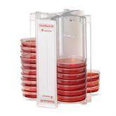 DishRack 50 Petri Dish Transport Carrier DishRack 50 ,1 Each - Axiom Medical Supplies