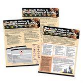 GHS and Hazards Communication Reference Poster GHS Intro Poster Pack, set of 3 • 17"W x 22"H ,1 Each - Axiom Medical Supplies