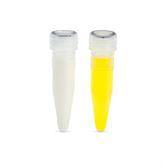 LipoClear 0.5mL in Predispensed Tubes 0.5mL in Predispensed Tubes ,40 / pk - Axiom Medical Supplies