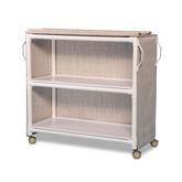 MRI Safe 2 Shelf Storage Cart MarketLab 2-Shelf Storage Cart ,1 Each - Axiom Medical Supplies