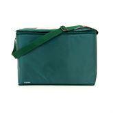MarketLab Medication Transport Totes Large • 18"W x 9"D x 13"H • Green ,1 Each - Axiom Medical Supplies