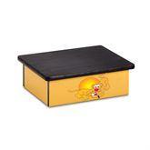 Pediatric Step Stools Lion Theme ,1 Each - Axiom Medical Supplies