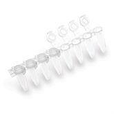 PCR Tube Strips with Attached Caps With Flat Cap ,1Pack oF 25 - Axiom Medical Supplies