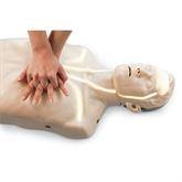 Brayden CPR Training Manikin Brayden CPR Training Manikin With Indicator Lights ,1 Each - Axiom Medical Supplies