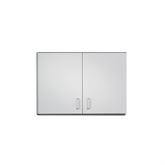 Two Door Wall Cabinet 36"L x 12"D x 24"H ,1 Each - Axiom Medical Supplies