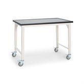Lipped Surface Accessioning Benches With Casters ,1 Each - Axiom Medical Supplies