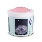 Men's Health Prostate Examination Trainer Prostate Examination Trainer • 4 Stages ,1 Each - Axiom Medical Supplies