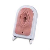 Episiotomy and Suturing Simulator Episiotomy and Suturing Simulator ,1 Each - Axiom Medical Supplies