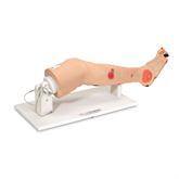 Insufficiency Leg Model Annie Arterial ,1 Each - Axiom Medical Supplies