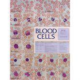 Blood Cell Laminated Chart Blood Cell Laminated Chart • 18.5"W x 23.5"H ,1 Each - Axiom Medical Supplies