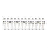 PCR Tubes with Strip Dome Caps Dome Cap • Clear ,80 / pk - Axiom Medical Supplies