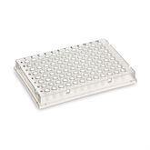 PCR-Plates-Trays Clear ,10 / pk10 - Axiom Medical Supplies