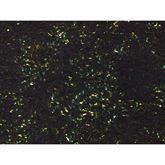 Histopathology Control Slides Amyloid Animal Pos ,10 / pk - Axiom Medical Supplies