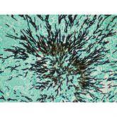 Histopathology Control Slides Fungus • GMS Pos ,10 / pk - Axiom Medical Supplies