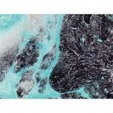 Histopathology Control Slides Urates Pos ,10 / pk - Axiom Medical Supplies